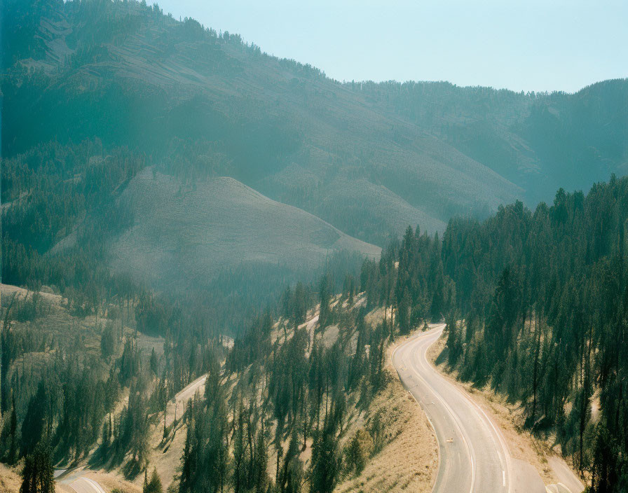 Forest landscape with winding road and hills under blue sky