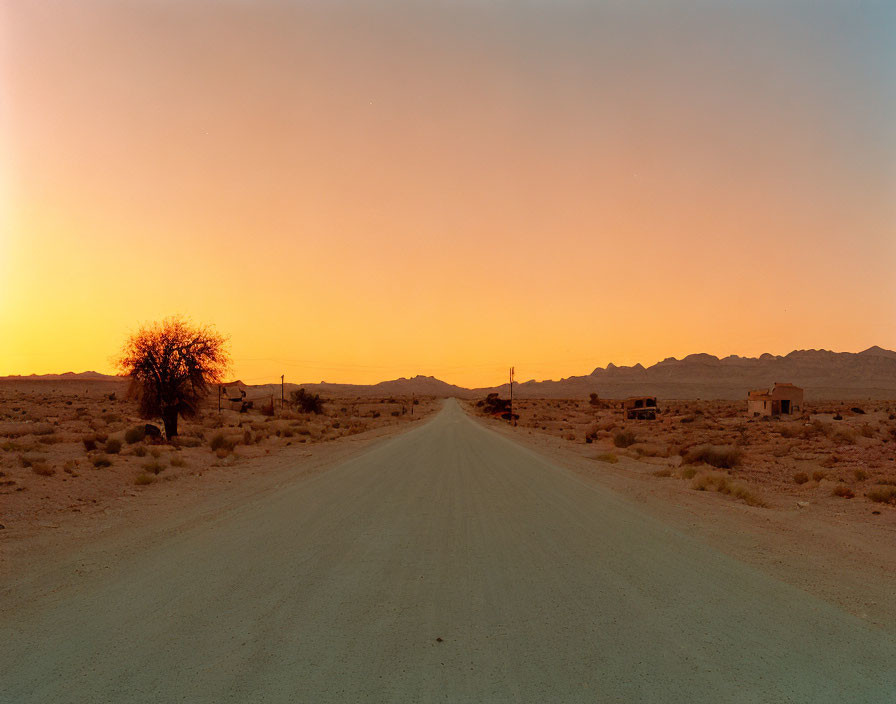 Desert road at sunset with sparse vegetation and distant mountains.