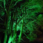 Silhouette of person at ornate door in vibrant green forest with intricate tree patterns