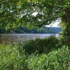 Serene Forest Landscape by a Tranquil River