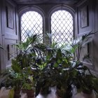 Cozy windowsill with lush plants, terrarium, lantern, leaded glass windows, wooden panel