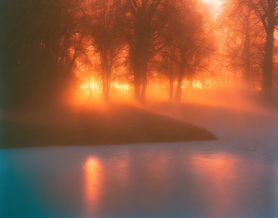 Tranquil park scene at dusk with silhouetted trees and glowing light