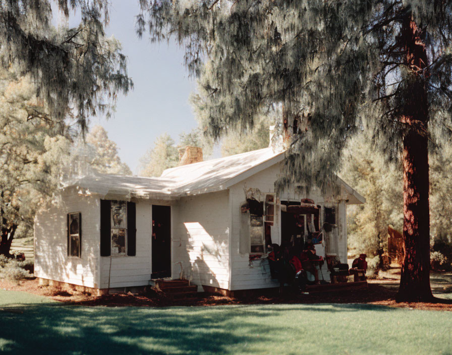 White Cottage with Porch Surrounded by Tall Trees and Sunlight