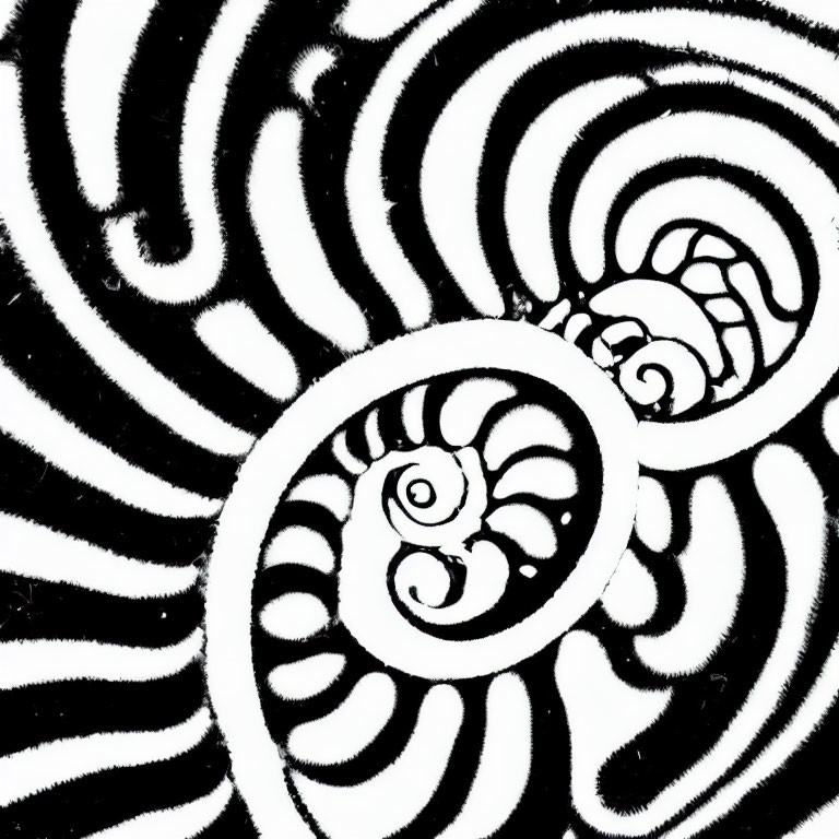 Monochrome abstract pattern with concentric circles and swirls