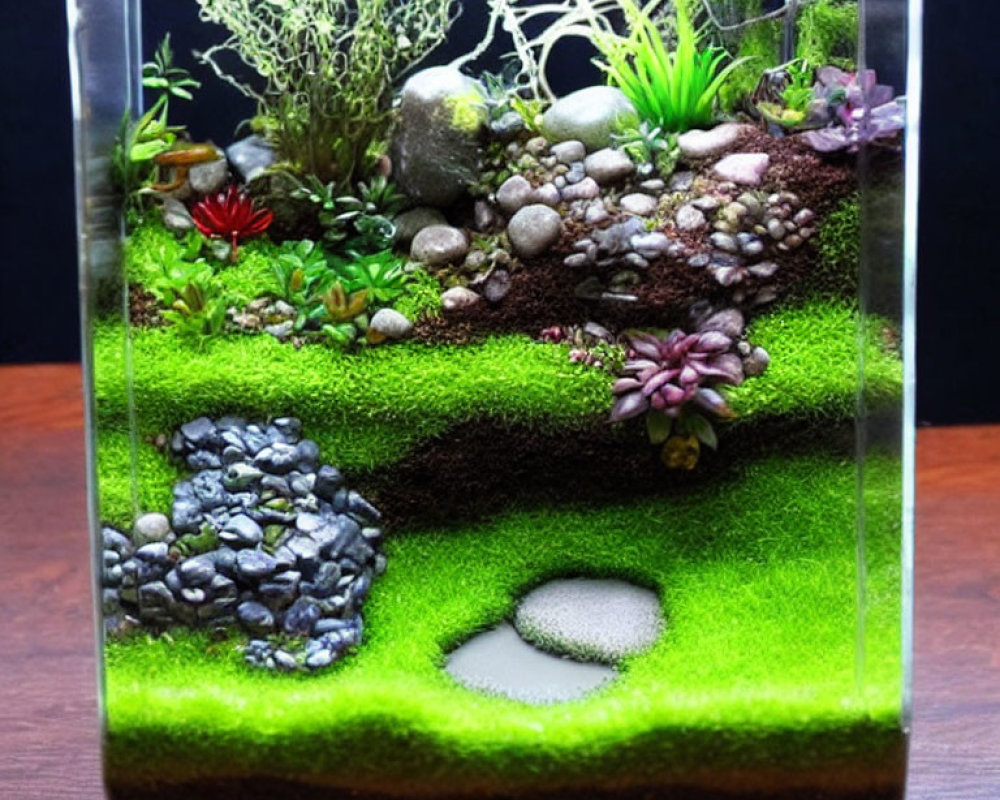 Lush Green Moss and Plants in Vibrant Terrarium