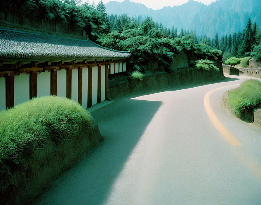 Asian-style Building by Curved Path in Lush Greenery