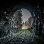 Lush Mossy Tunnel with Vibrant Flowers and Ethereal Mist