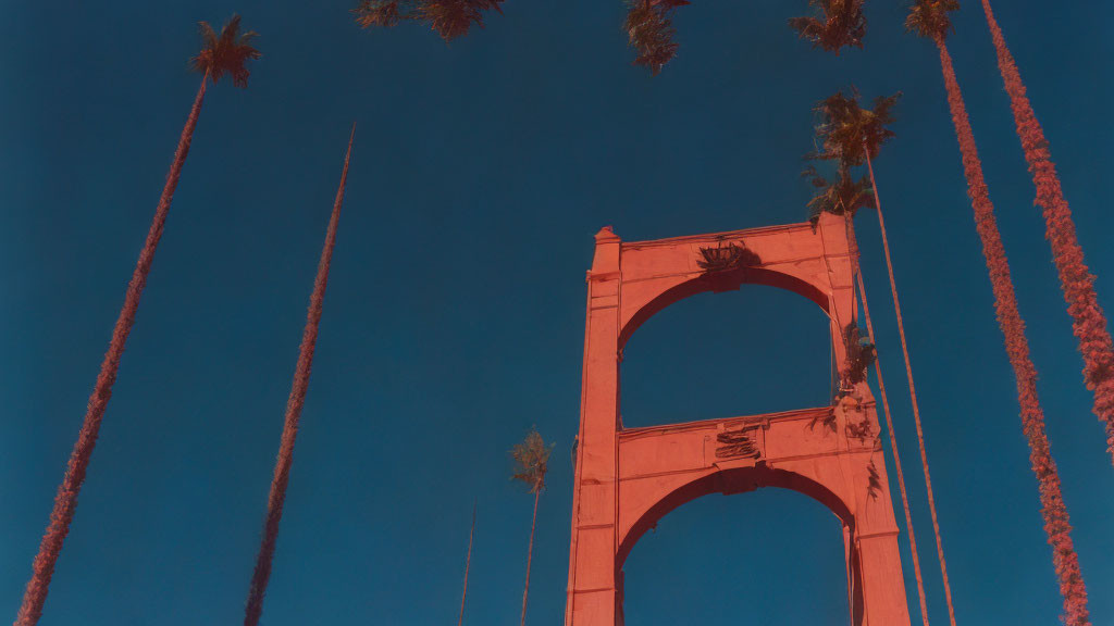 Twilight sky with architectural arch and palm trees.