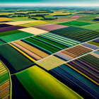 Vibrant patchwork farmland in green, yellow, and brown tones