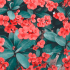 Detailed Clay Relief Artwork: Red and Pink Flowers with Green Leaves