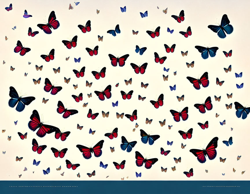 Vibrant Butterfly Collection on Light Background