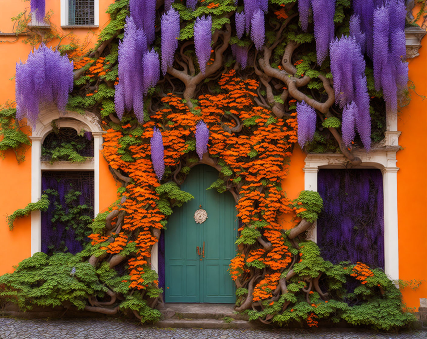 Orange and Purple Wisteria Vines Cascading Over Quaint Green Door and Windows