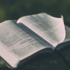 Open book with turning pages, greenery, and butterflies scene