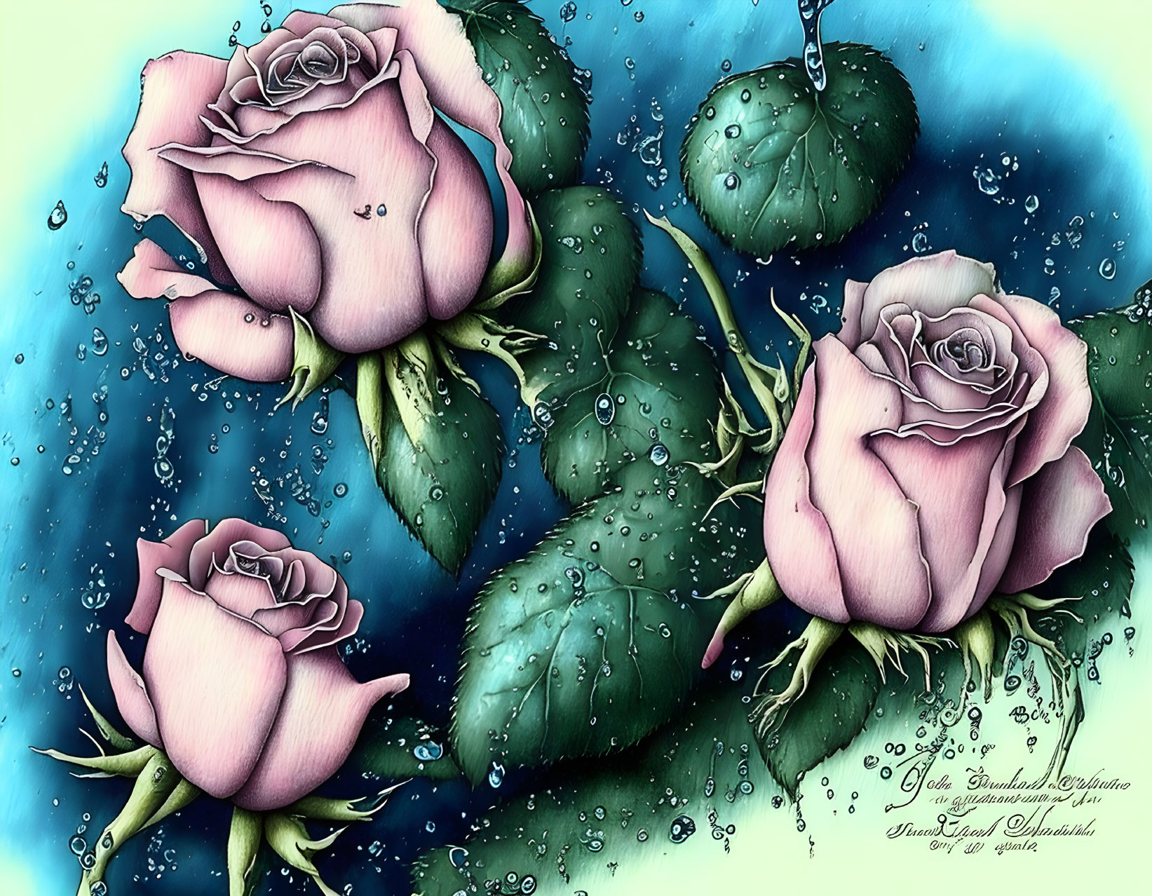 Purple Roses with Dewdrops on Blue Background and Signatures
