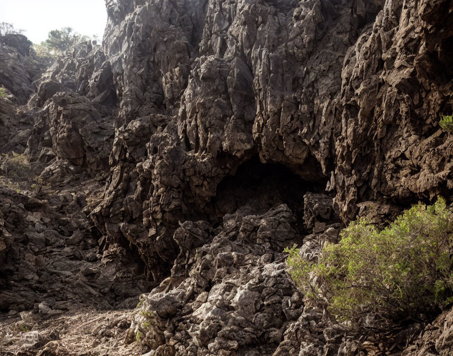 Textured Rock Formation with Small Cave-Like Opening Amid Sparse Vegetation