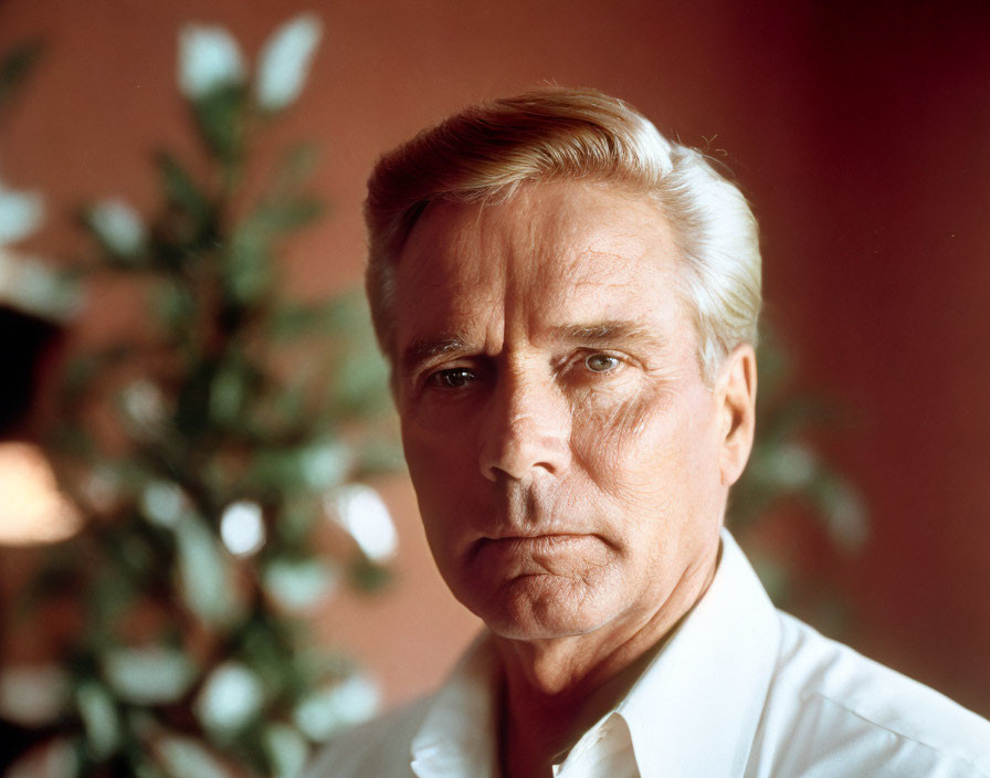 Serious mature man in white shirt against warm background with green plant.