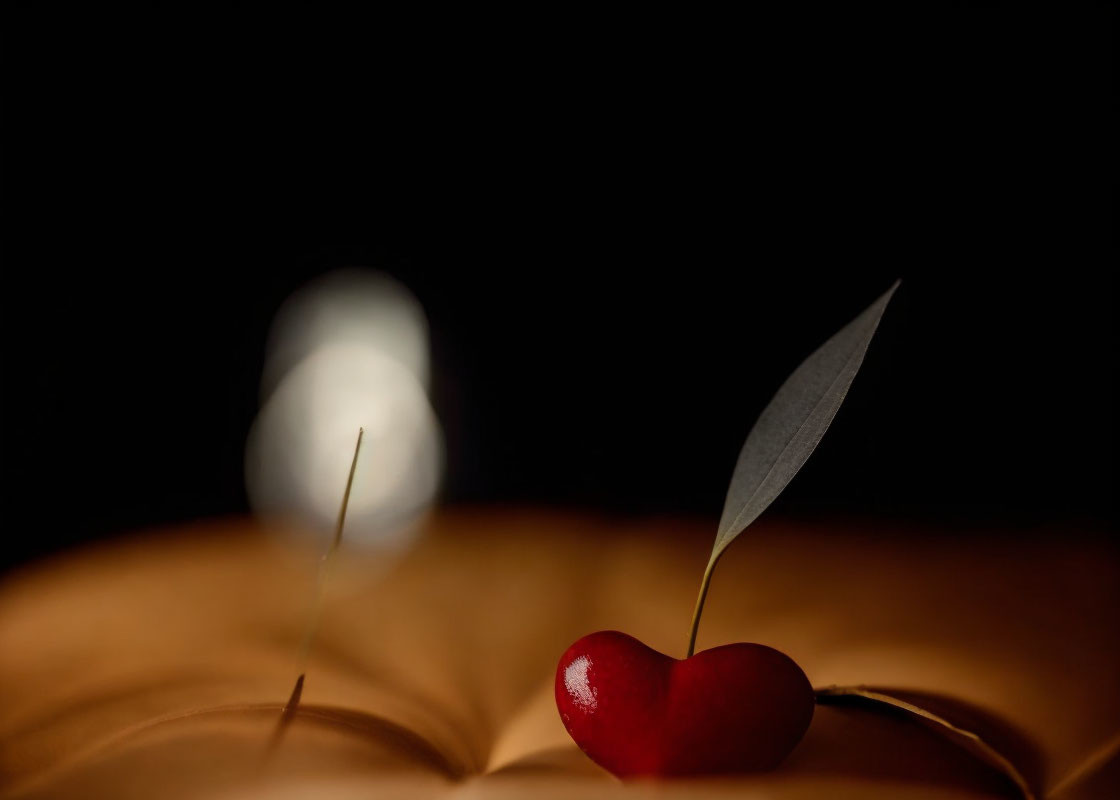 Cherry with paper leaf on reflective surface in soft backlight