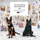 Two dogs in art gallery with paintings and newspaper-covered floor; sign reads "user profile removed