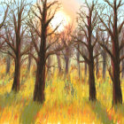 Sunlight through bare trees on meadow with golden grasses