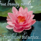 Pink lotus flower blooming on water with lily pads and inspirational text.