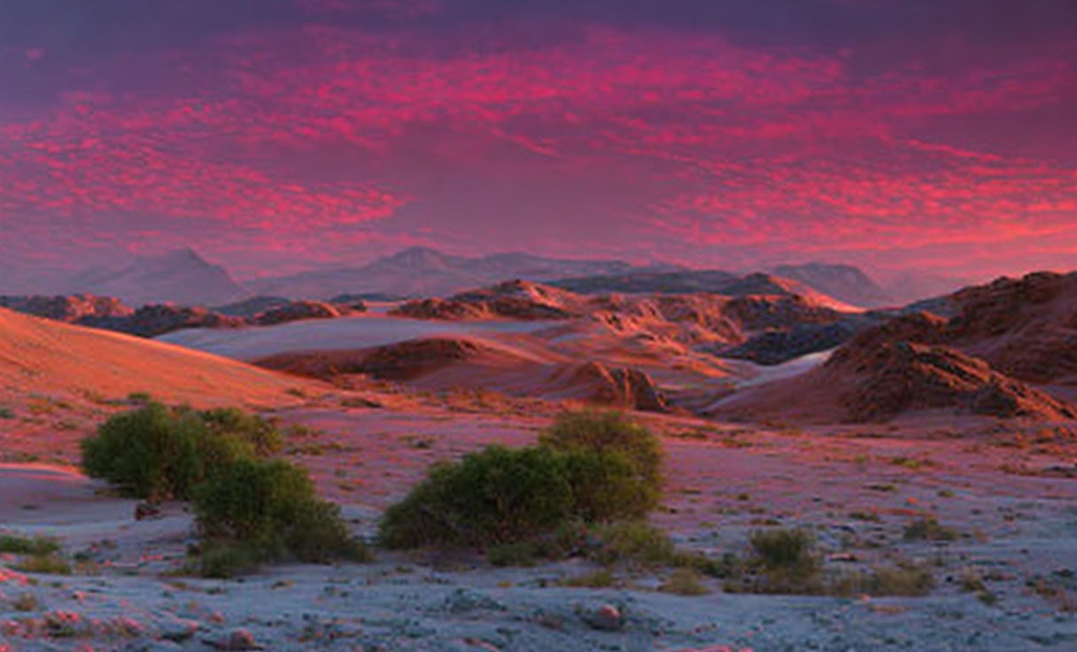 Sunset desert landscape with sand dunes, rocky formations, and sparse vegetation under pink and purple sky