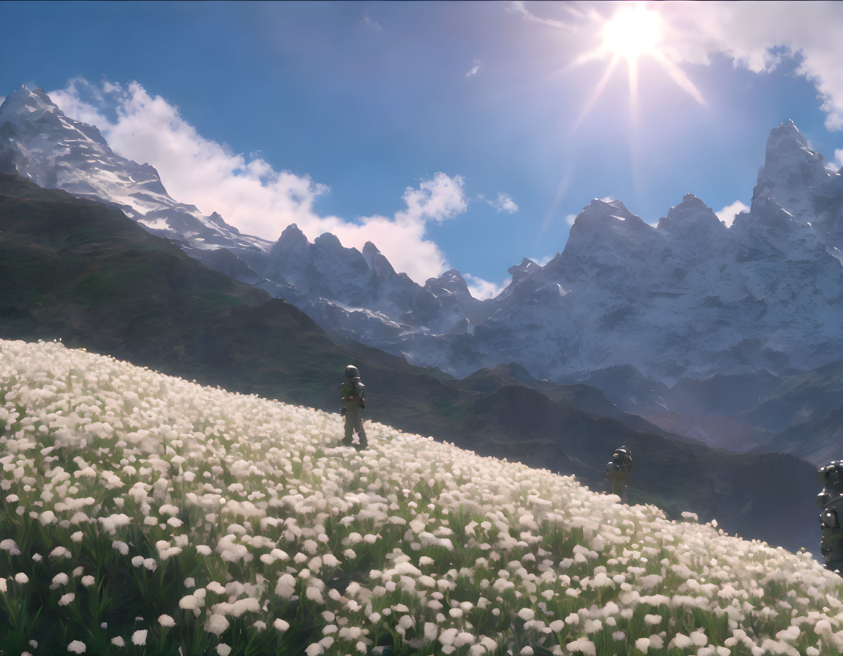 Person in field of white flowers with snow-capped mountains and bright sun