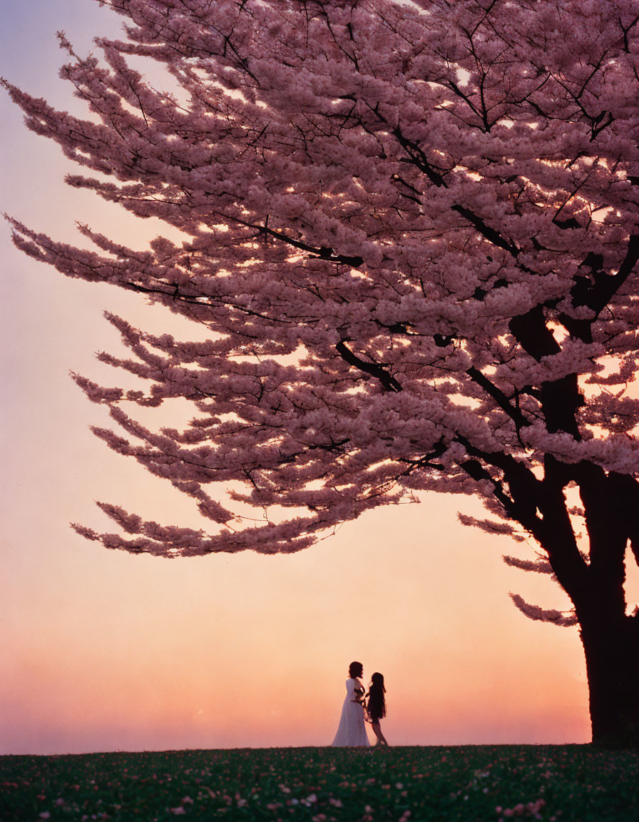 mum and daughter under a cherry blossom