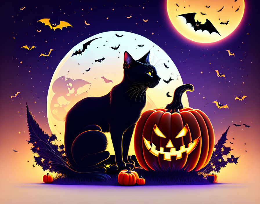 Black Cat and Carved Pumpkin on Spooky Halloween Night