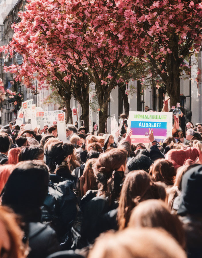 Crowd with banners under pink cherry blossoms