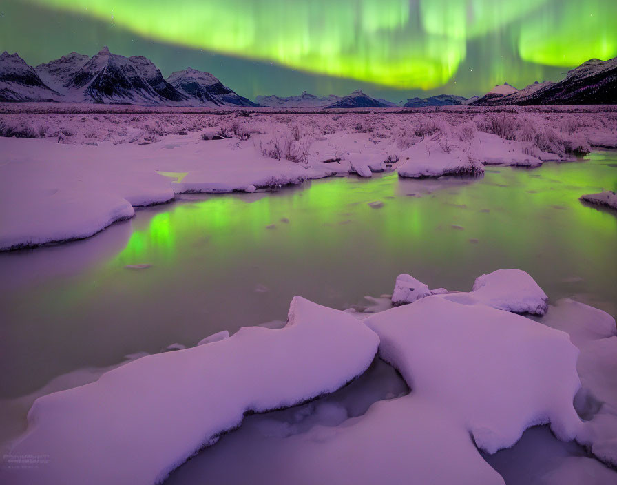 Vibrant green aurora borealis over snowy landscape