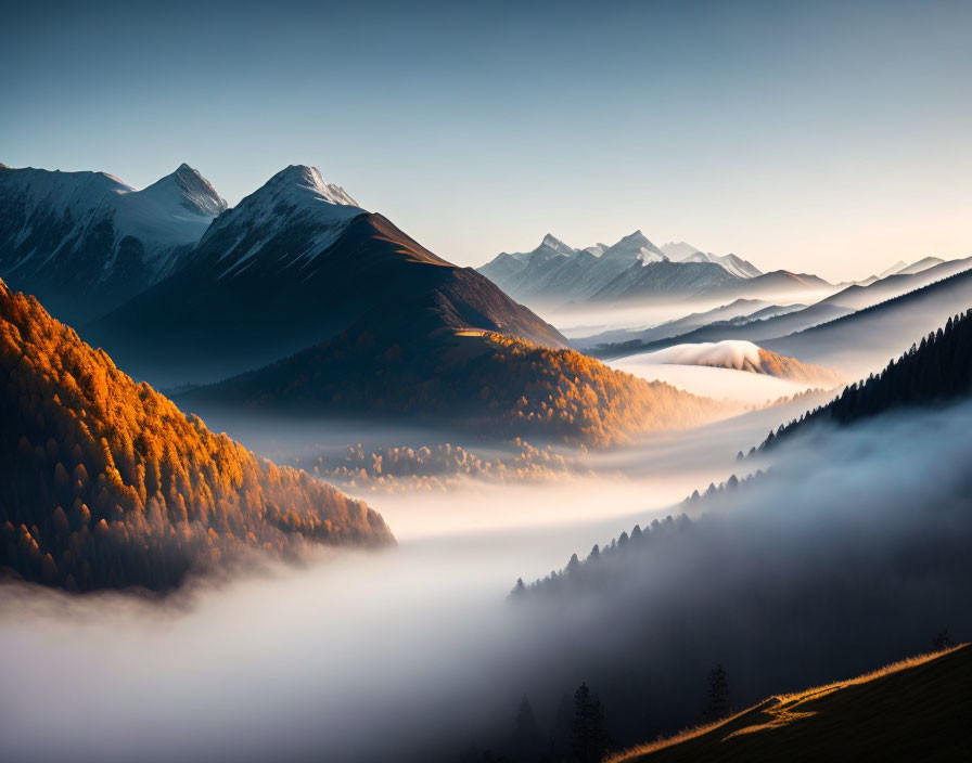 Misty valleys and autumn forests under dawn light with snow-capped mountains