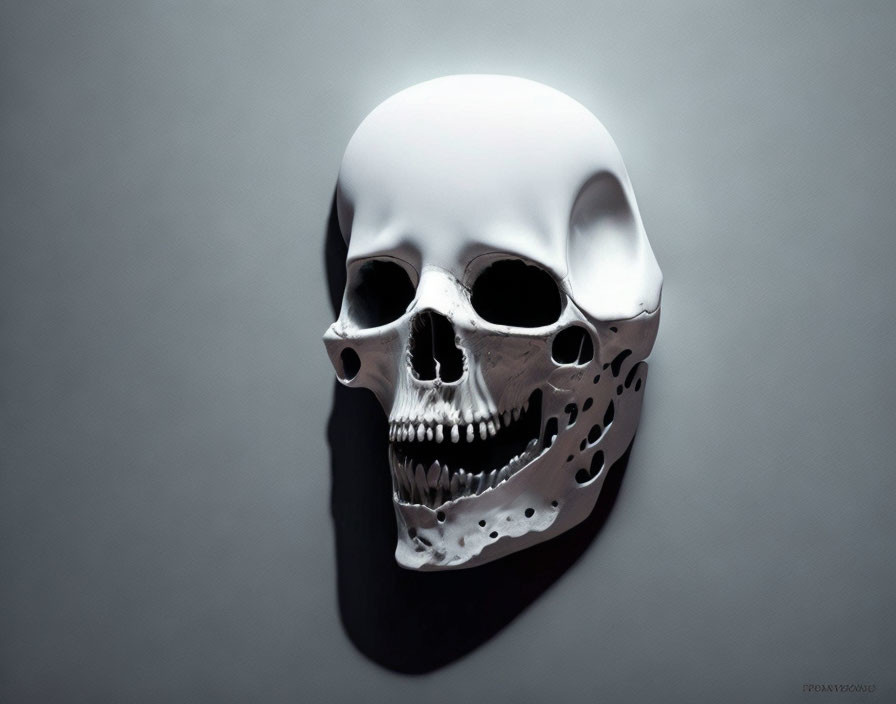 Human Skull with Missing Lower Jaw on Grey Background