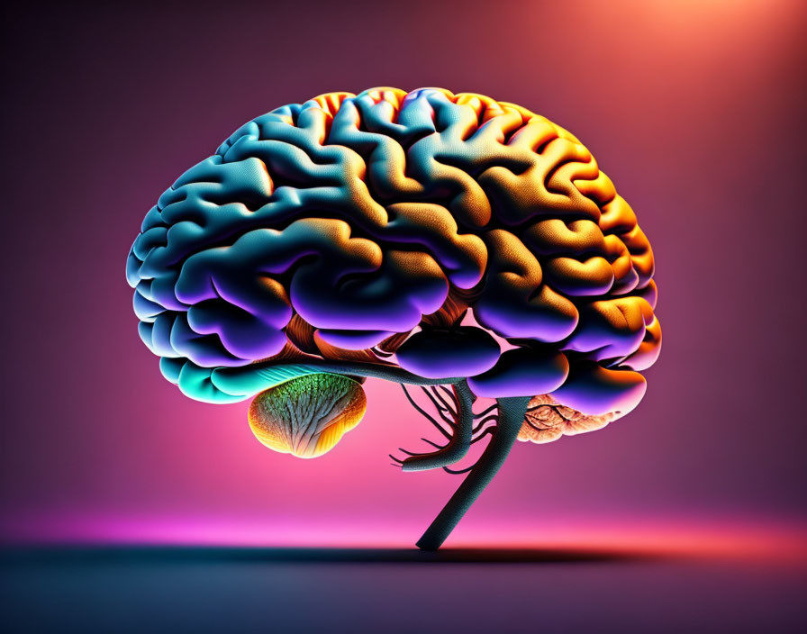 Colorful Human Brain Illustration with Tree-Like Brainstem on Gradient Background