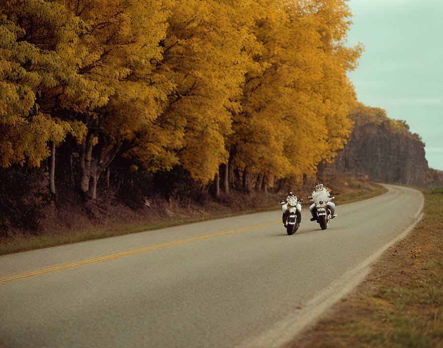 Motorcyclists on Curved Road with Autumn Trees