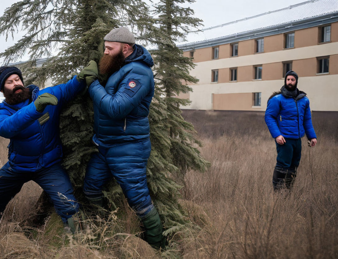 Men playfully wrestle by conifer tree, another man watches near building