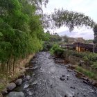 Tranquil Tropical River with Forests and Sunlit Hut