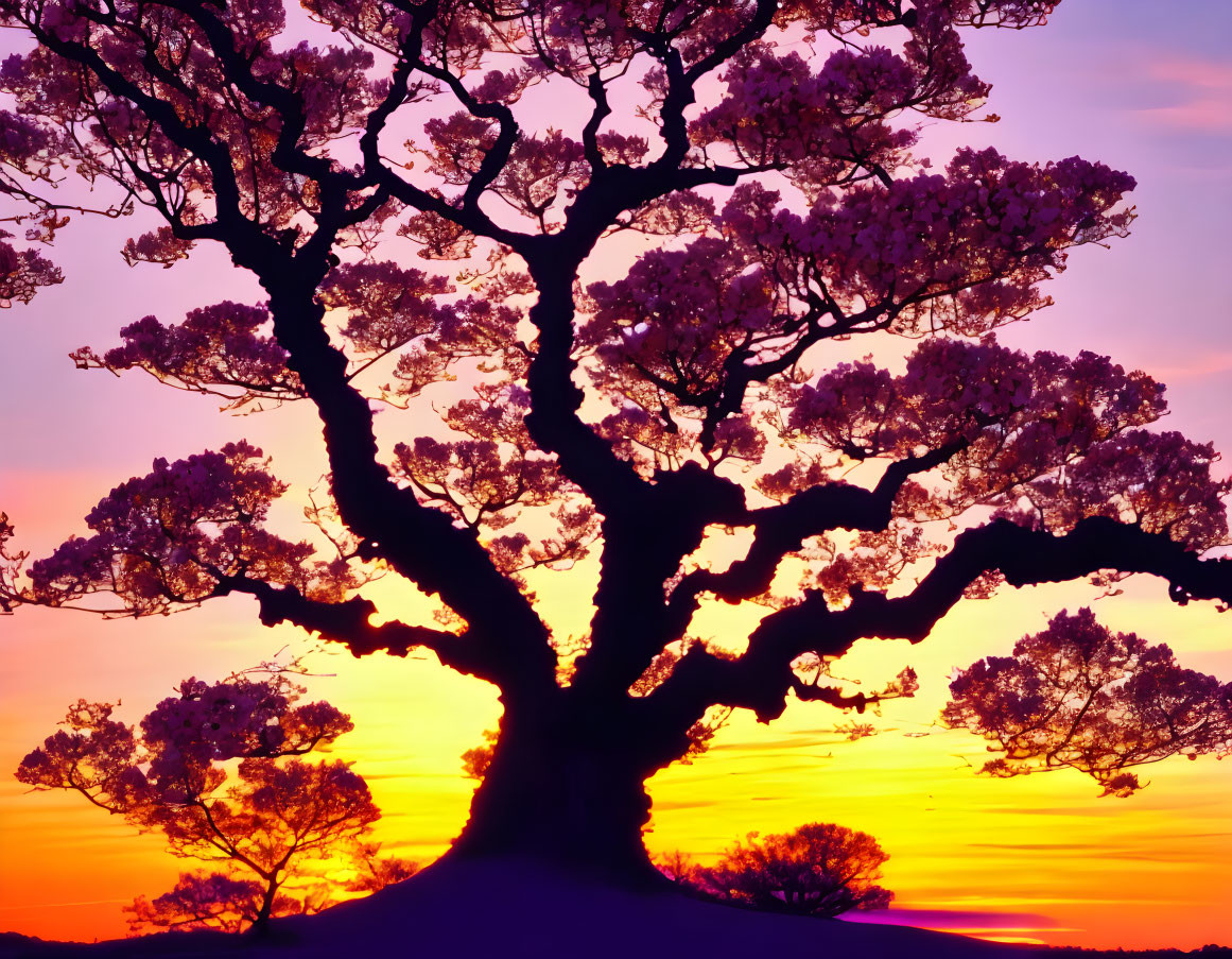 Majestic tree with pink blossoms against vibrant sunset