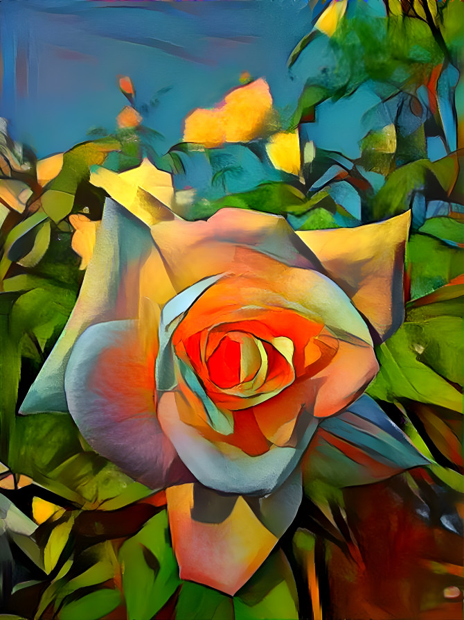 Rose