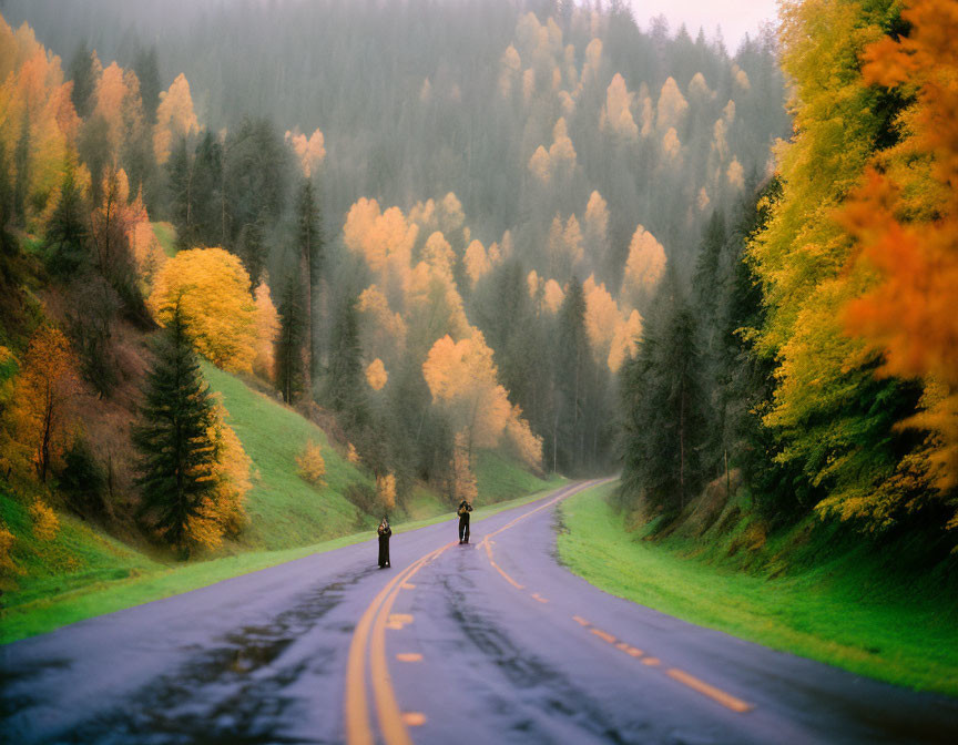 Cyclists on winding forest road in vibrant autumn scenery