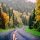 Cyclists on winding forest road in vibrant autumn scenery