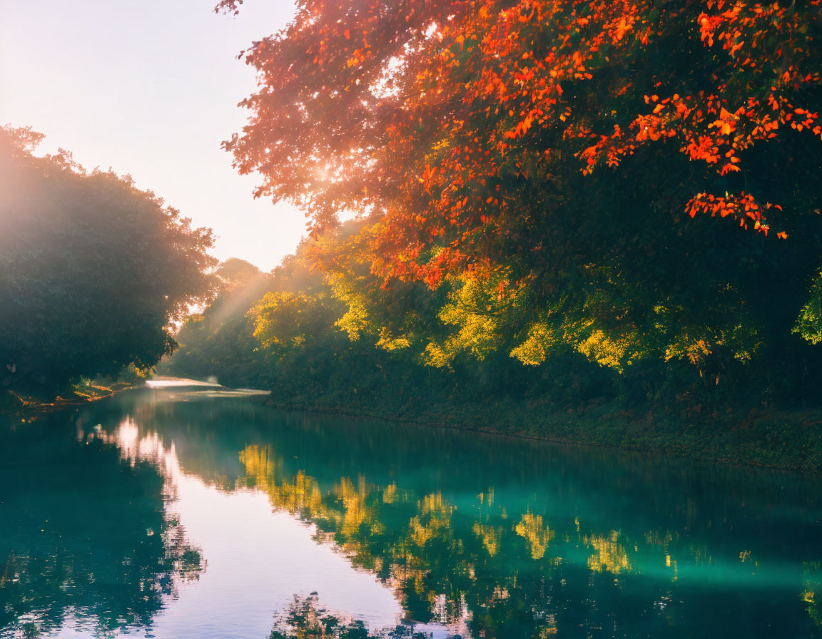 Tranquil river surrounded by autumn trees at sunrise