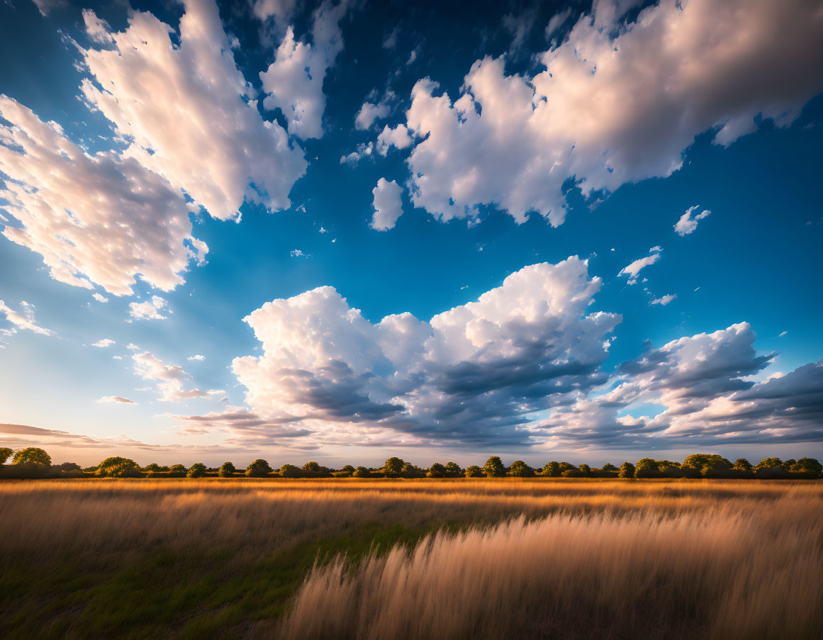 Golden Grass Field Under Dramatic Sunset Sky