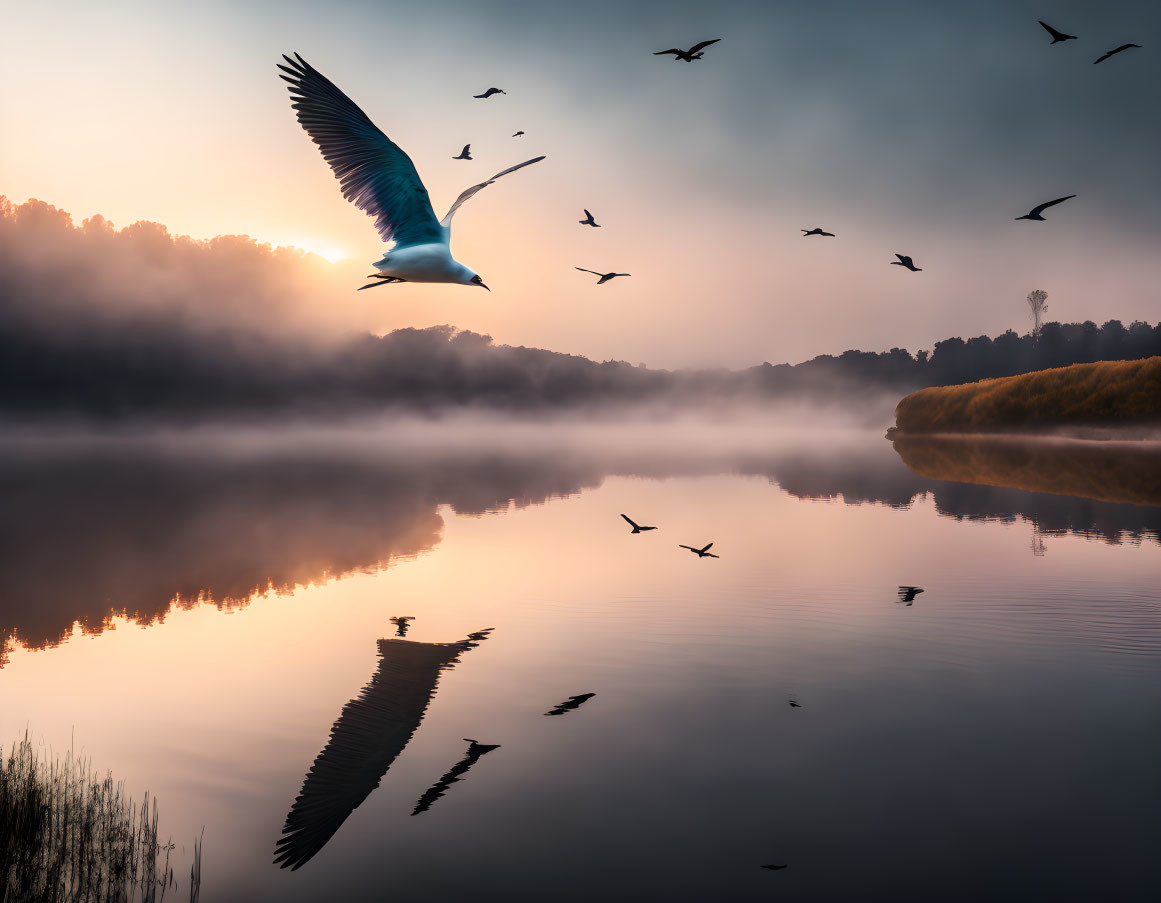 Tranquil sunrise scene over misty lake with flying birds.