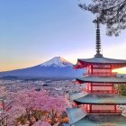 Red Pagoda with Cherry Blossoms, Mount Fuji, and Blue Sky