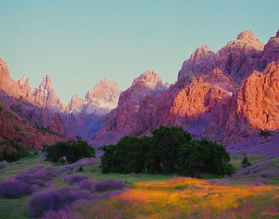 Scenic landscape: greenery, wildflowers, pink mountains at sunrise/sunset