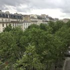 Parisian rooftops adorned with greenery and flowers, Eiffel Tower in view