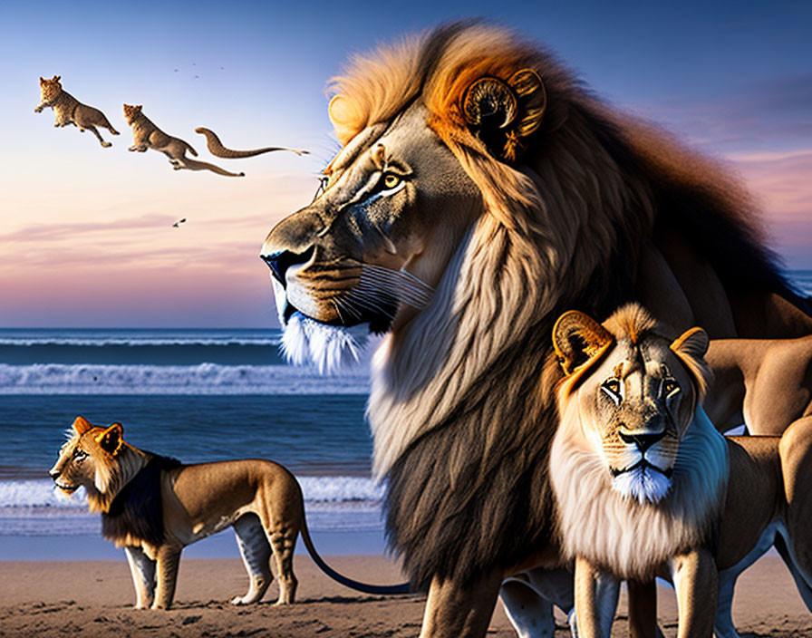 Lions on the beach 