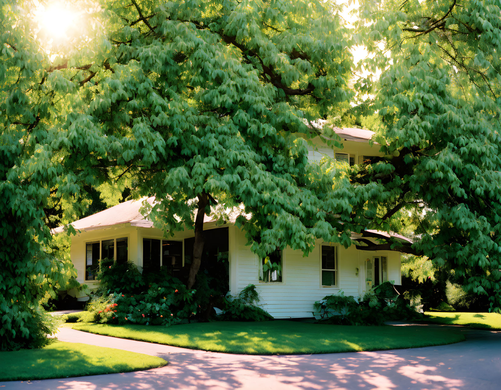 Tranquil suburban home surrounded by lush green trees