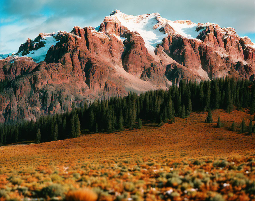 Majestic snow-capped mountain range and lush green forest landscape