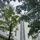 Green trees overshadow urban skyscrapers in serene cityscape